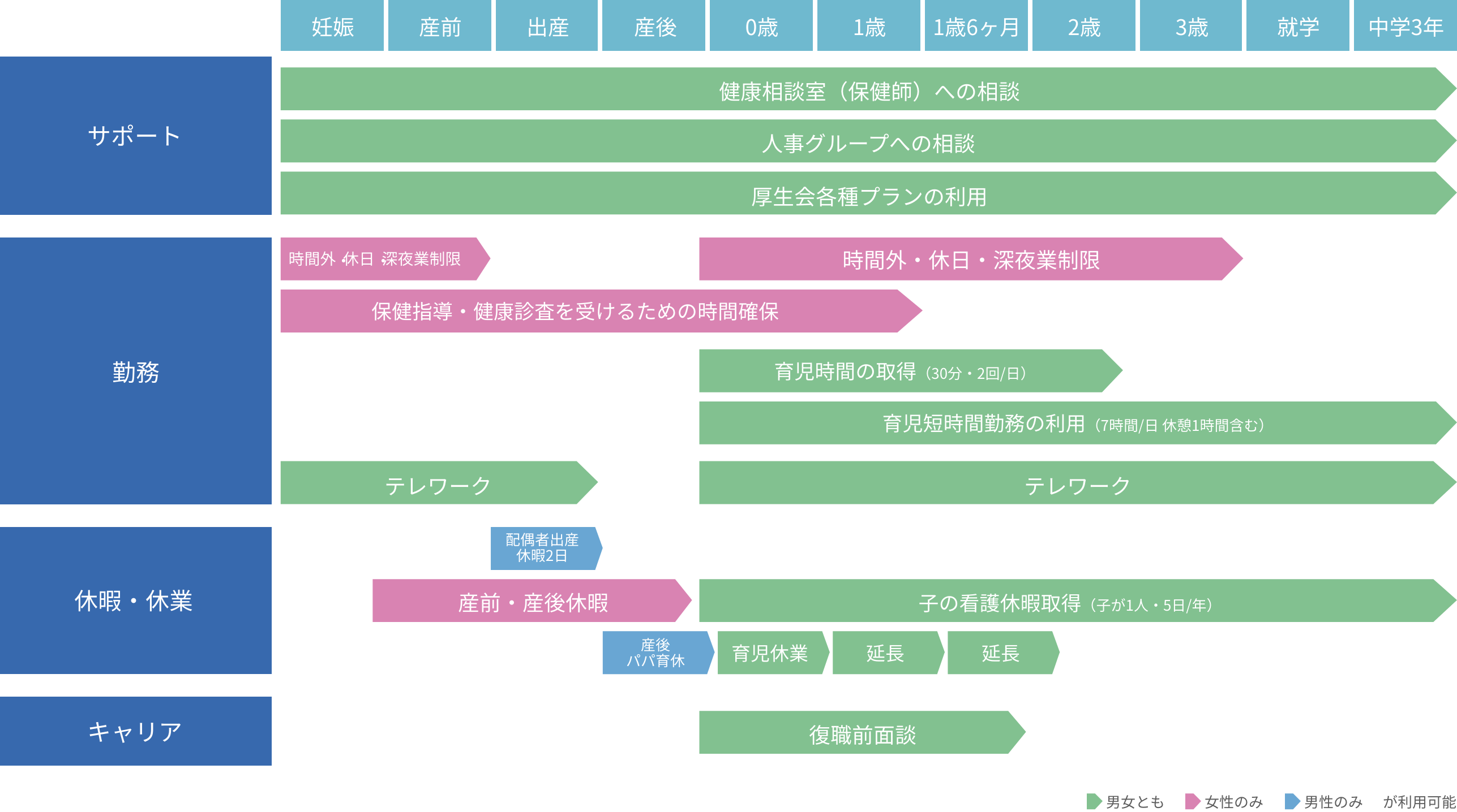 等級と育成体系