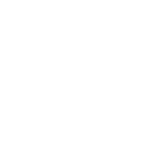 Plane Icon