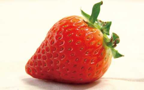 'Sun Berry Gamagori'strawberries01