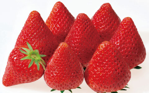'Hanakagari'strawberries01