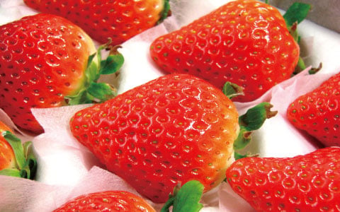 'Hanakagari'strawberries02