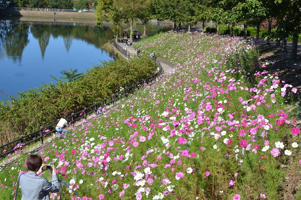 꽃 페어 기념공원