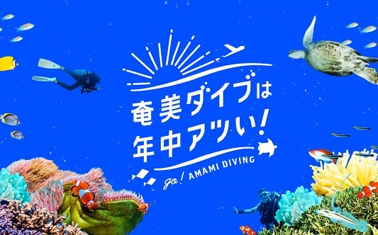 奄美でダイビングを楽しもう♪