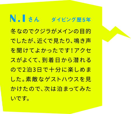 N.Iさん ダイビング歴5年 冬なのでクジラがメインの目的でしたが、近くで見たり、鳴き声を聞けてよかったです！アクセスがよくて、到着日から潜れるので2泊3日で十分に楽しめました。素敵なゲストハウスを見かけたので、次は泊まってみたいです。