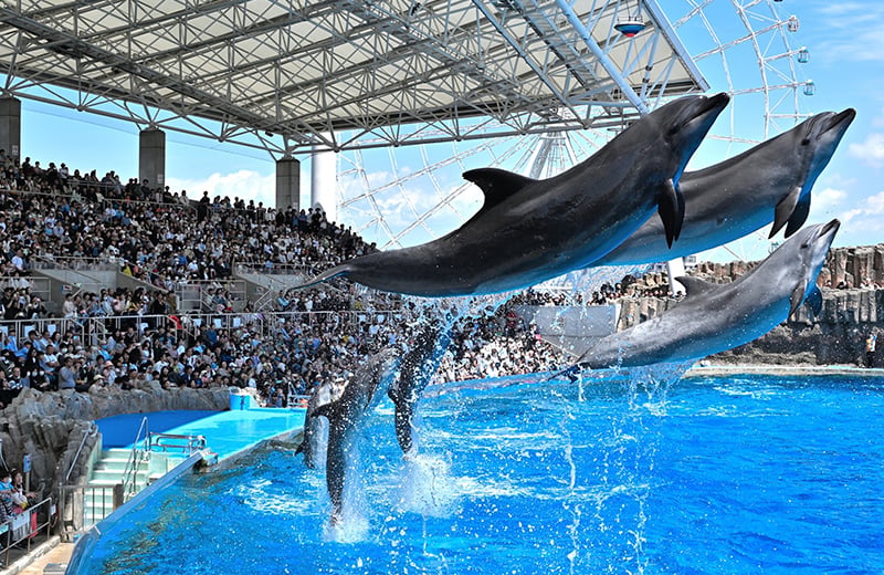 名古屋港水族館