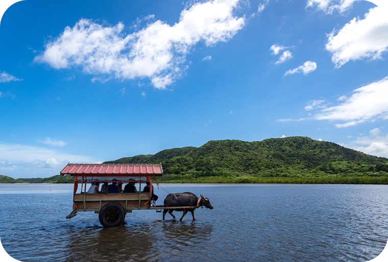 八重山の離島 イメージ