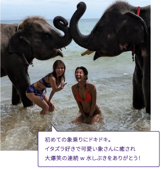 初めての象乗りにドキドキ。 イタズラ好きで可愛い象さんに癒され 大爆笑の連続 w 水しぶきをありがとう！