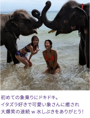 初めての象乗りにドキドキ。 イタズラ好きで可愛い象さんに癒され 大爆笑の連続 w 水しぶきをありがとう！