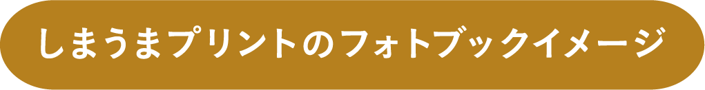 しまうまプリントのフォトブックイメージ