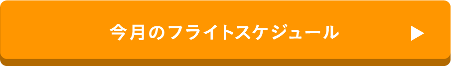 今月のフライトスケジュール