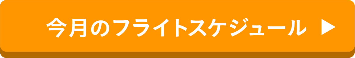 今月のフライトスケジュール