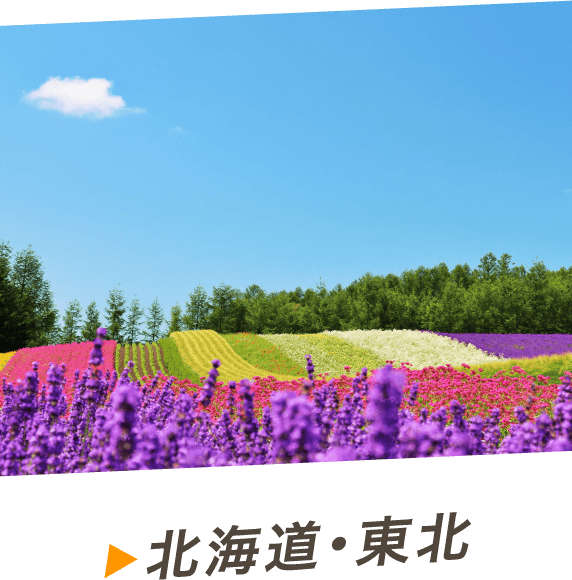 北海道・東北
