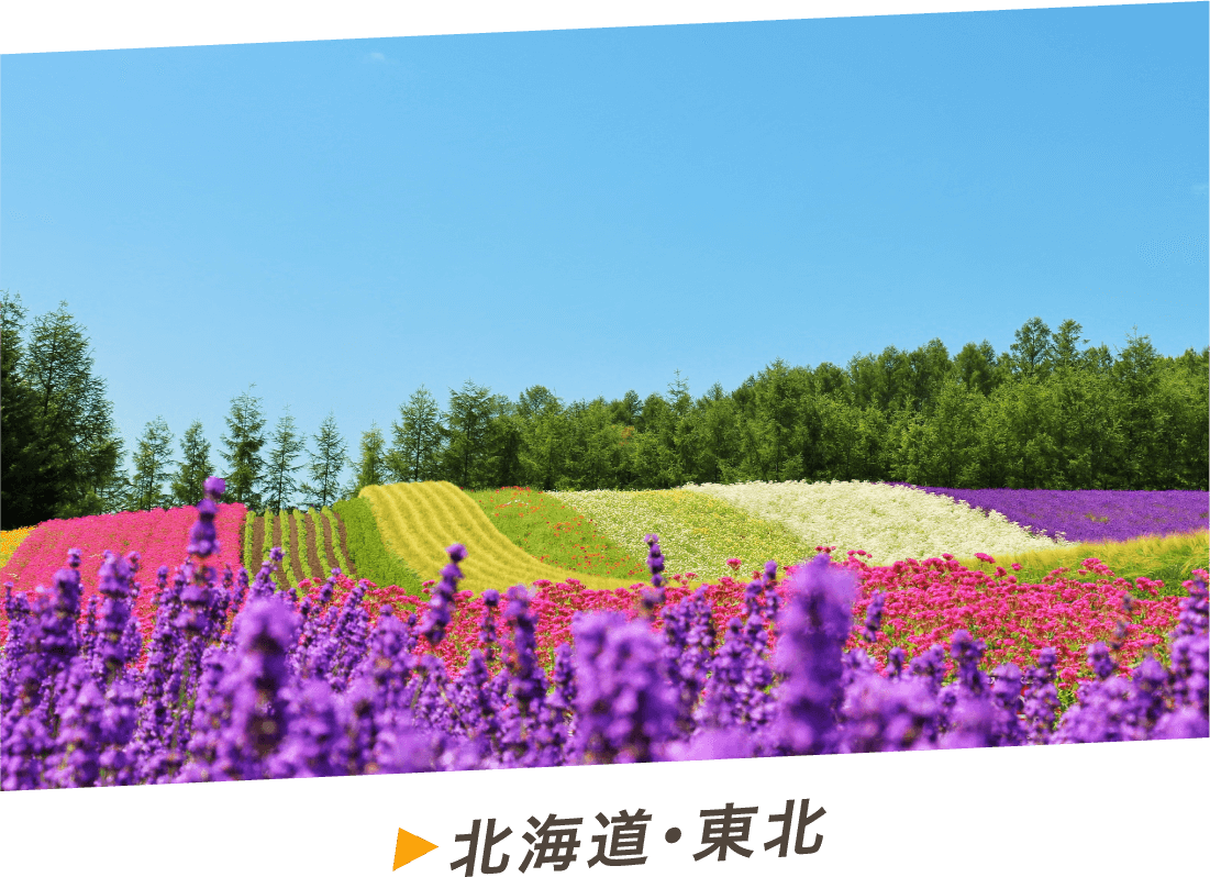 北海道・東北