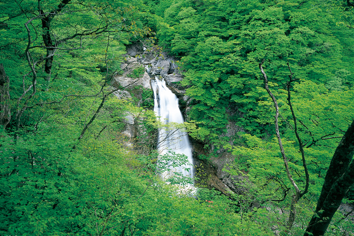 仙台の魅力の画像03