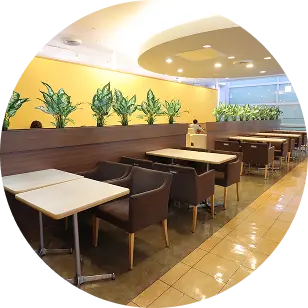 店内の画像