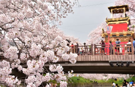 Dashi Float Procession