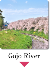 Gojo River