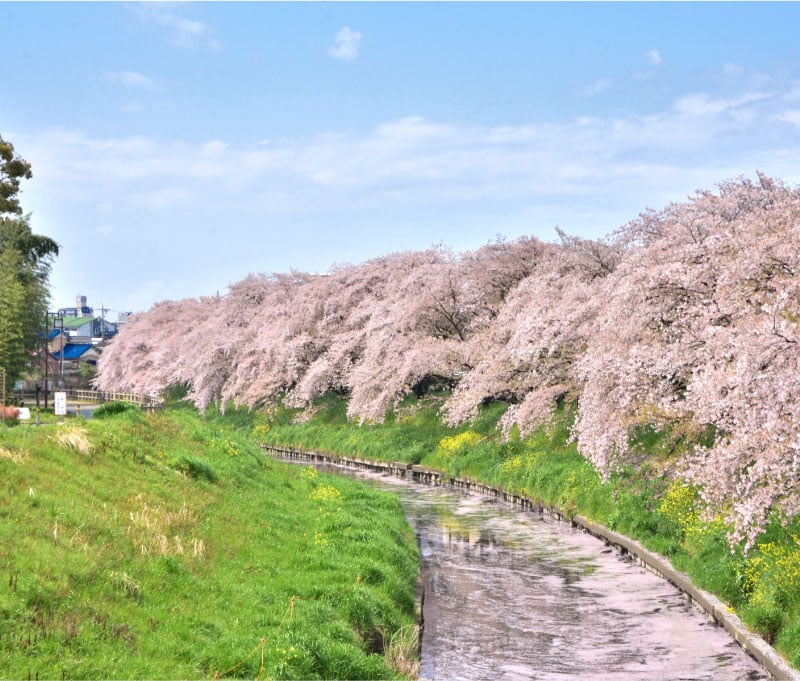 Gojo River
