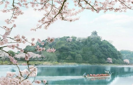 Elegant Blossom-viewing Boats