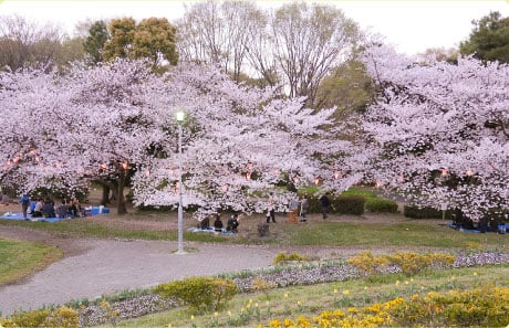 Meijo Park
