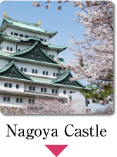 Nagoya Castle