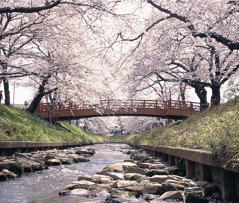 Okazaki