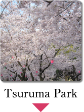 Tsuruma Park