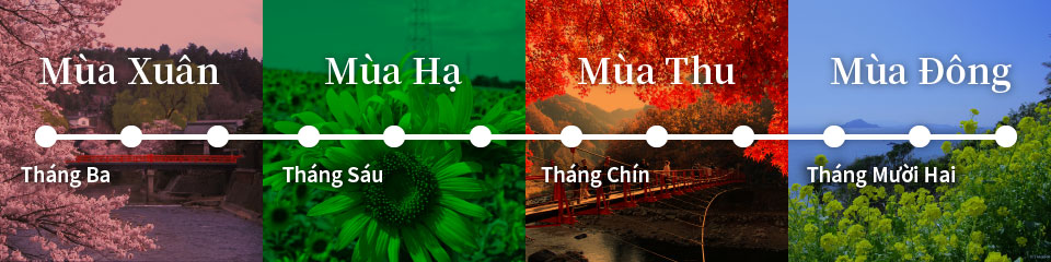 Các mùa hoa ở Nhật Bản