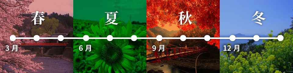 日本四季花期